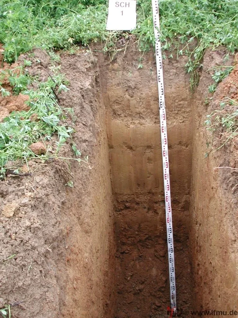 Exploratory Test Pit Investigations in Kingston Ontario